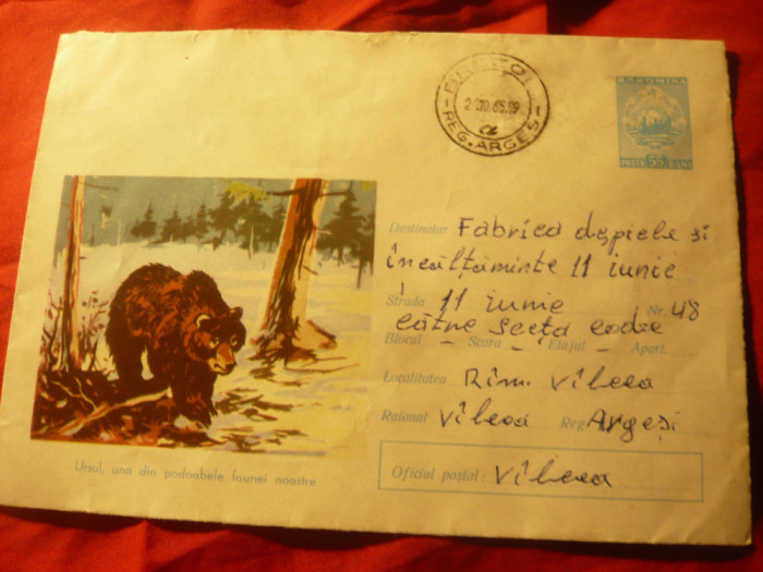 Plic ilustrat circulat - Ursul - cod 926/1964