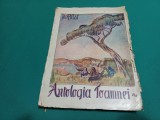 ANTOLOGIA TOAMNEI * ION PILLAT / EDIȚAIA A II-A / 1921 * 27