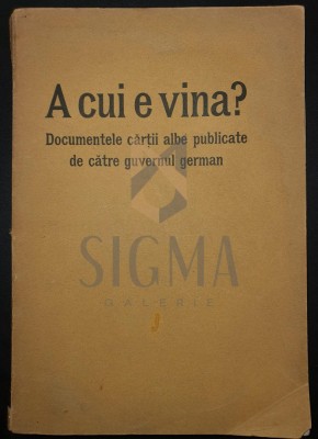 A CUI E VINA ? foto