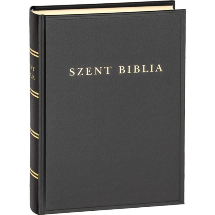 Szent Biblia (nagy csal&aacute;di m&eacute;ret)