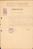 A1381 Certificat școlar, Gimnaziul romano-catolic de fete, 1960, Timișoara
