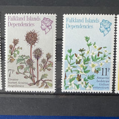 PC379 - FALKLAND ISLANDS DEPENDENCIES 1981 PLANTE, serie MNH, 6v