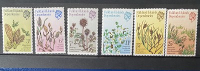 PC379 - FALKLAND ISLANDS DEPENDENCIES 1981 PLANTE, serie MNH, 6v foto