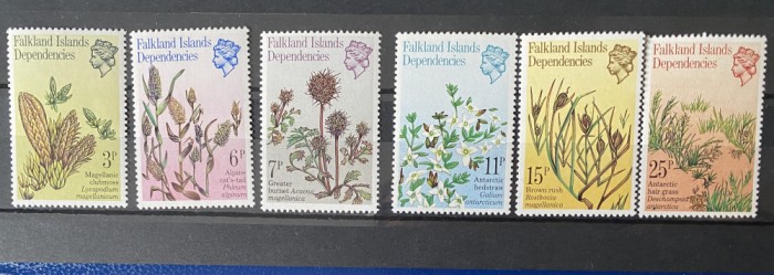 PC379 - FALKLAND ISLANDS DEPENDENCIES 1981 PLANTE, serie MNH, 6v
