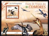 Ins. COMORE 2009, Fauna - Pasari, MNH,, Nestampilat