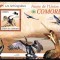Ins. COMORE 2009, Fauna - Pasari, MNH,