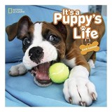 It&#039;s a Puppy&#039;s Life