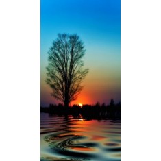 Husa Personalizata ASUS ZenFone Max Pro M2 ZB631KL Apus
