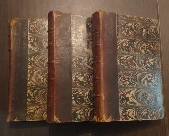 DICTIONNAIRE RAISONNE DE L&#039;ARCHITECTURE - 3 VOLUME - VIOLLET LE DUC - 1875