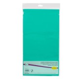 Față de masă plastic CMCLASS verde smarald 137x274 cm, de unică folosință