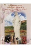 La Medjugorje se inalta spre Cer suspine si se coboara Miracole Vol. 2 - Doina Hasnes-Ciurdariu