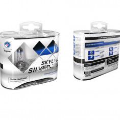 Set 2 becuri halogen 55w 5000K Skyline Silver Up to 100% more light - H-4