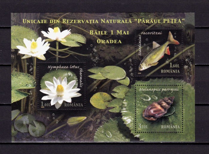 RO 2008 LP 1822 b,&quot;Rezervatia Naturala Petea &quot;, serie in bloc colita 440 , MNH
