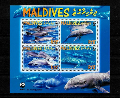 MALDIVES 2009 WWF FAUNA PROTEJATA BALENE foto