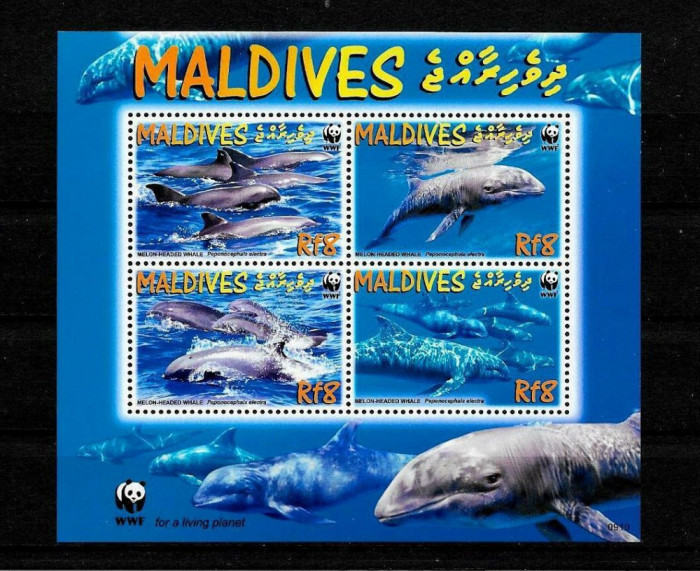 MALDIVES 2009 WWF FAUNA PROTEJATA BALENE