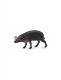 Figurina Porc Sulawesi Babirusa L Collecta