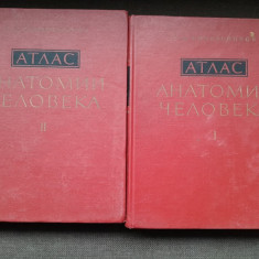 ATLAS DE ANATOMIA OMULUI - R D SINELNIKOV VOL.1+2 text in limba rusa