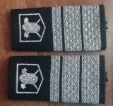 C2 39 - Grade militare - plutonier major auto - piesa de colectie!