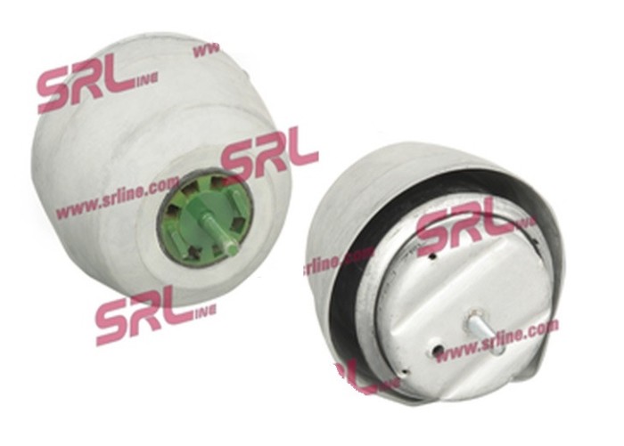 Suport motor Audi A4 B5 (8d2), A4 B5 Avant (8d5), A6 C5 (4b2), A6 C5 Avant (4b5); Seat Exeo (3r2), Exeo St (3r5); Skoda Superb I (3u4); Vw Passat B5