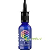 Argentum Special 77ppm Pulverizator Nazal 30ml