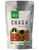 Chaga pulbere bio 60g OBIO