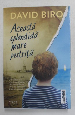 ACEASTA SPLENDIDA MARE PESTRITA de DAVID BIRO , 2021 foto