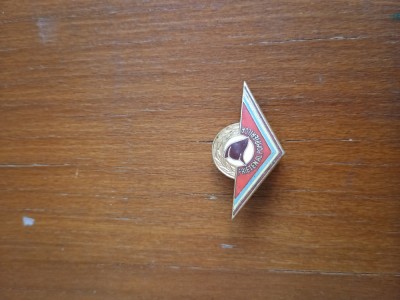 Insigna PRIETEN AL POMPIERILOR foto