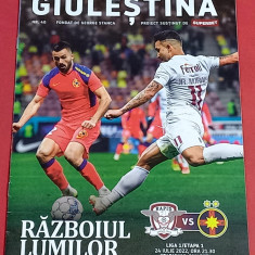 Program meci fotbal RAPID BUCURESTI - FCSB (24.07.2022)