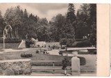 CPIB 22734 - CARTE POSTALA - BORSEC. VEDERE DIN PARC, RPR