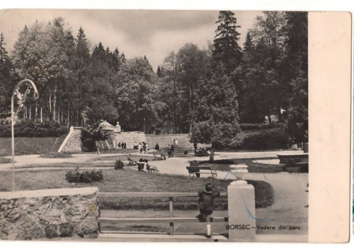CPIB 22734 - CARTE POSTALA - BORSEC. VEDERE DIN PARC, RPR