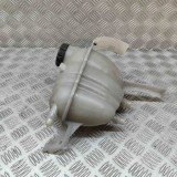 Vas de expansiune MERCEDES-BENZ GLS X167 2022 OEM: A1675009900 29071586