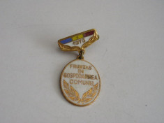 QW9 L 10 - Insigna - tematica comunism - Fruntas in gospodarirea comunei an 1973