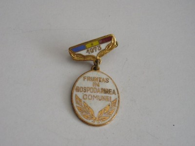 QW9 L 10 - Insigna - tematica comunism - Fruntas in gospodarirea comunei an 1973 foto