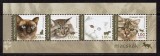 UNGARIA 2005, Fauna, pisici, MNH, serie neuzata