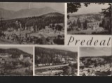 CPIB 22590 - CARTE POSTAL - PREDEAL, MOZAIC, RPR
