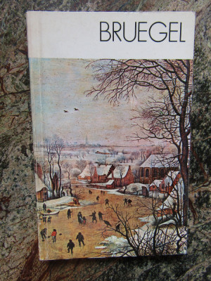 BRUEGEL-MICHAL WALICKI foto