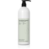 FarmaVita Backbar Revitalizing sampon revitalizant si hidratant 1000 ml