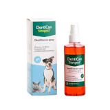 Cumpara ieftin Spray Igiena Orala Dentican Spray, Stangest, 125 ml
