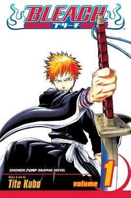 Bleach, Vol. 1 foto