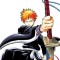 Bleach, Vol. 1