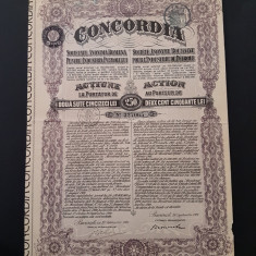 Actiune 1922 petrol soc. CONCORDIA , titlu , actiuni