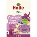 Terci cu afine banane si mere pentru copii 1 an, eco