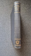 ANATOMIA OMULUI - APARATUL LOCOMOTOR - Iagnov, Repciuc, Russu