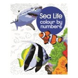 Cumpara ieftin SEA LIFE COLOUR BY NUMBERS.
