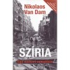 Sz&iacute;ria - Egy nemzet romokban - A sz&iacute;riai polg&aacute;rh&aacute;bor&uacute; ind&iacute;t&eacute;kai &eacute;s t&ouml;rt&eacute;nete - Nikolaos van Dam
