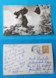 Carte Postala veche frumos circulata anul 1965 - RPR - Muntii Bucegi - Babele, Sinaia, Printata