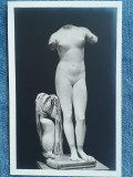 661 - Statuie clasica nud in Muzeul National Roma / carte postala interbelica, Necirculata, Printata