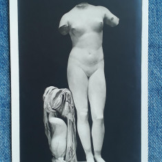 661 - Statuie clasica nud in Muzeul National Roma / carte postala interbelica