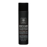 Balsam dupa ras pentru barbati, 100 ml, Apivita