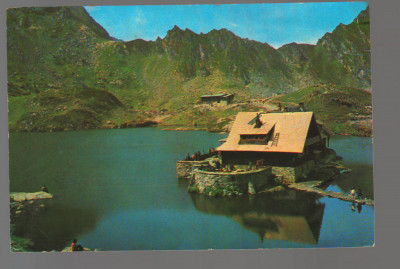 CPIB 17241 CARTE POSTALA - MUNTII FAGARAS, LACUL SI CABANA BALEA foto